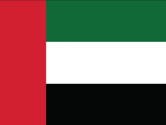 dubai flag